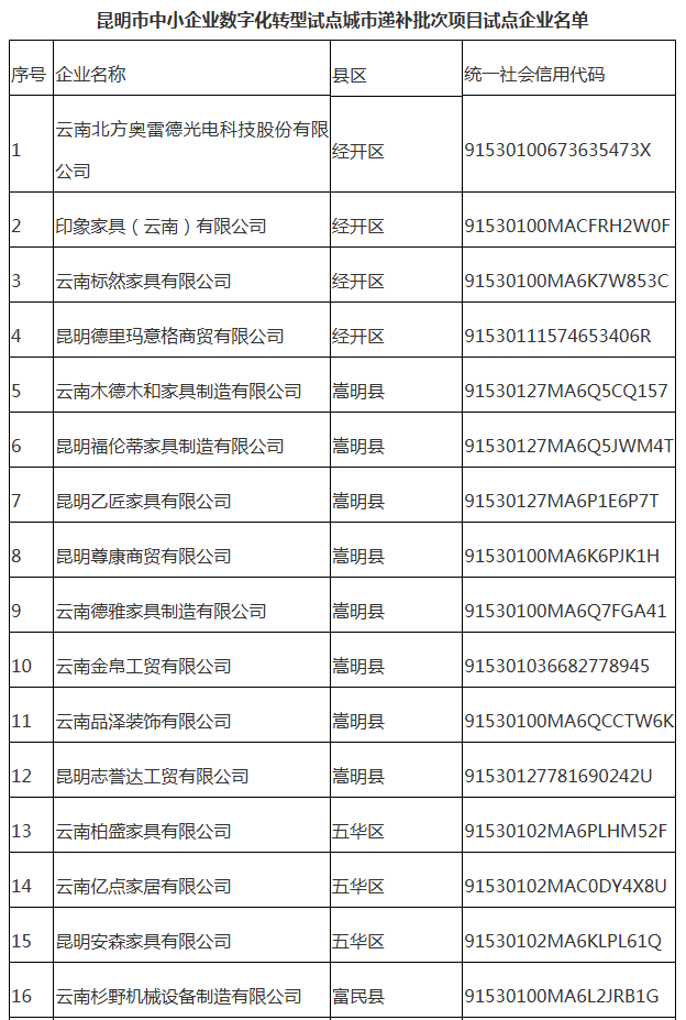 市中小企業(yè)數(shù)字化轉(zhuǎn)型試點(diǎn)城市遞補(bǔ)批次名單(圖1)